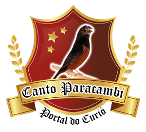 Doenças  | Criadouro MGS - Curió Canto Paracambi - Rio de Janeiro